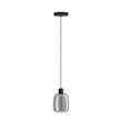 Pendul Eglo MOLOCHIO-Z metal, sticla, negru, fumuriu, LED, 3,7W, 2700K-6500K, 500 Lm - 901119