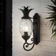  Aplica de perete exterioara Elstead metal, sticla, negru, E27, IP44 - ELS-HK-PLANTATION-M-MB