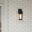 Aplica de perete exterioara Elstead metal, sticla, negru, auriu, E27, IP44 - ELS-QZ-BUCKLEY-S-MBK