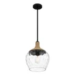 Pendul Elstead metal, sticla, franghie, negru, transparent,  - ELS-QZ-ROYER-1P-MBK