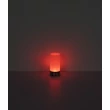 Veioza decor Globo LEX metal, acril, negru, alb, RGB-LED, 1.8W, 2900K, 100 Lm - 21040SRGB