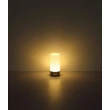 Veioza decor Globo LEX metal, acril, negru, alb, RGB-LED, 1.8W, 2900K, 100 Lm - 21040SRGB