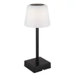 Veioza decor Globo XAYDEN metal, plastic, negru, alb, LED, 2W, 3000-6500K, 100 Lm - 28061S