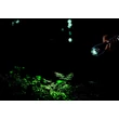 Lanterna Globo LIGHTA metal, plastic, negru, LED, 3W, 5000-5500K, 100Lm - 31919