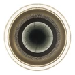 Plafoniera Globo ALSUNA metal, acril, antracit, alb, LED, 48W, 2700-6000K, 2160Lm - 48557-48
