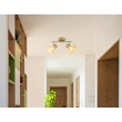 Spot Globo ZACHERY metal, sticla, alama, chihlimbar, E14 - 54315M-2