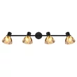 Spot Globo ZACHERY metal, sticla, negru, crom, E14 - 54315S-4