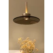 Pendul Lucide SANTIAGO metal, sticla, sampanie, chihlimbar, LED, 16W, 780lm, 2700K-4000K - 23401/12/62