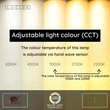 Lampadar Lucide JANDERIN metal, acril, sampanie, transparent, LED, 17W, 415lm, 2200K-3300K - 24705/34/05