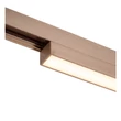 Sursa de lumina pentru sina magnetica Lucide LINIAL GLYXX metal, sampanie, LED, 20W, 1000lm - 55903/24/05