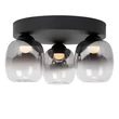 Plafoniera Lucide TAMINO metal, sticla, negru, fumuriu, LED, 5.6W, 500lm, 3000K - 74119/15/30