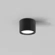 Plafoniera pentru baie Maytoni HYDRA metal, negru, LED, 3000K, 10W, 600lm, IP44 - C090CL-10W3K-B