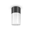 Plafoniera exterioara Maytoni Willis metal, plastic, negru, alb, E27, IP54 - O418CL-01B