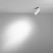 Sursa de lumina pentru sina magnetica Exility Maytoni FOCUS metal, alb, LED, 5W, 2700-6000K, 300Lm - TR032-4-5WTW-S-DD2-W
