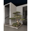 Lampa decor exterior NovaLuce ANDER metal, sticla, antracit, transparent, LED, 10W, 604lm, 3000K-4000K-5000K, IP65 - NL-9050702
