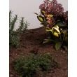 Lampa decor exterior NovaLuce SENTO metal, maro, LED, 3W, 135lm, 3000K, IP65 - NL-9050733