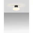 Plafoniera exterioara NovaLuce ALI metal, sticla, antracit, alb, LED, 6W, 644lm, 3000K, IP65 - NL-9971456