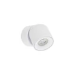 Plafoniera exterioara Nowodvorski OSCAR metal, alb, GU10, IP54 - 11347