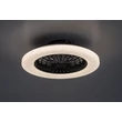 Plafoniera cu ventilator Rabalux DALFON2 metal, plastic, negru, alb, LED, 48W, 1900lm, 3000K-6500K - 71329