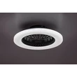 Plafoniera cu ventilator Rabalux DALFON2 metal, plastic, negru, alb, LED, 48W, 1900lm, 3000K-6500K - 71329