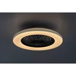 Plafoniera cu ventilator Rabalux DALFON2 metal, plastic, negru, alb, LED, 48W, 3100lm, 3000K-6500K - 71330