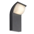 Aplica de perete exterioara Rabalux Hongkong metal, plastic, negru, LED, 4000K, 9W, 660lm, IP65 - 7166