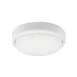 Aplica de perete exterioara Rabalux Hort plastic, alb, LED, 4000K, 15W, 1300lm, IP54 - 7406