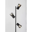Lampadar Rabalux HATICE metal, sticla, negru, fumuriu, E14 - 74279