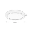 Plafoniera Rabalux SHAUN PLUS plastic, alb, auriu, LED, 4000K, 24W, 2600lm, IP44 - 75078