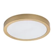 Plafonierade baie  Rabalux SHAUN PLUS plastic, alb, auriu, LED, 4000K, 30W, 3000lm, IP44 - 75079