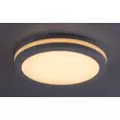 Plafoniera exterioara Rabalux INDRE plastic, alb, LED, 3000K-4000K-6500K, 28W, 2600lm, IP54 - 77036