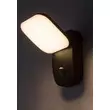 Aplica de perete solara de exterior cu senzor Rabalux ODIEL metal, plastic, negru, alb, LED, 3000K, 12W, 850lm, IP44 - 77058