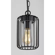 Pendul exterior Rabalux TARPA metal, plastic, negru, transparent, E27, IP44 - 77107