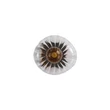 Aplica de perete Searchlight Sunbeam metal, sticla, negru, transparent, G9, 7W - 24122-1BK