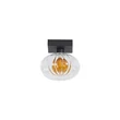 Aplica de perete Searchlight Sunbeam metal, sticla, negru, transparent, G9, 7W - 24122-1BK