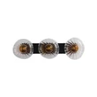 Aplica de perete Searchlight Sunbeam metal, sticla, negru, transparent, G9, 7W - 24122-3BK