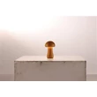 Veioza Searchlight Mushroom lemn, maro, LED, 1.1W, 13lm, 3000K - 34125NA