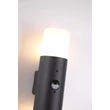 Aplica de perete exterior Searchlight Colorado  metal, plastic, negru, alb, E27, 25W, IP44 - 39230BK-PIR