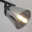Spot Searchlight MEGA metal, sticla, negru, fumuriu, E14 - 61170-2SM