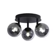 Plafoniera Searchlight CROSBY metal, sticla, negru, fumuriu, G9 - 96913-3BK