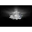 Plafoniera Slamp ETOILE metal, Lentiflex, transparent LED, 2700K, 15W, 2150lm - ETOCS00PRS00000LEDEU