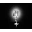 Veioza Slamp LIZA metal, tehnopolimer, Lentiflex, transparent E27 - LIZTM00PRS000RE000EU