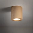 Plafoniera TK Lighting EVE lemn, maro, GX53 - TK-10121