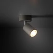 Aplica de perete TK Lighting LIVIA metal, bej, GU10 - TK-10222