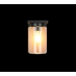 Aplica de perete exterior Trio ARDILA metal, sticla, lemn, transparent, E27, IP44 - Trio-211660135