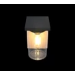 Aplica de perete exterior Trio ARDILA metal, sticla, lemn, transparent, E27, IP44 - Trio-211660135