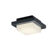 Plafoniera exterioara Trio HONDO metal, plastic, antracit, alb, LED, 3000K, 3.5W, 330lm, IP54 - 228960142