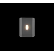 Aplica de perete exterior Trio SANTERNO metal, antracit, LED, 7.5W, 850lm, 2300K-3000K-4000K, IP54 - Trio-246660342