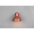 Aplica de perete exterior Trio ELBE metal, portocaliu, E27, IP44 - Trio-262360140