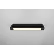 Aplica de perete Trio FABRIZIO, metal, plastic, negru, LED, 9W, 1000lm, 2300K+3000K+4000K, IP44 - Trio-284770132